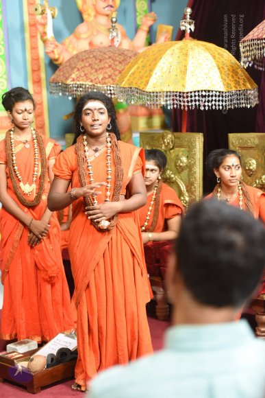 20170326_Photo_1015_DSC_2223_CMP_WM