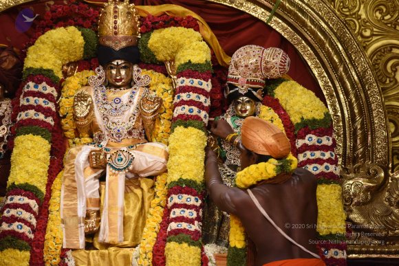 20170507_Photo_1025_DSC_8642_CMP_WM