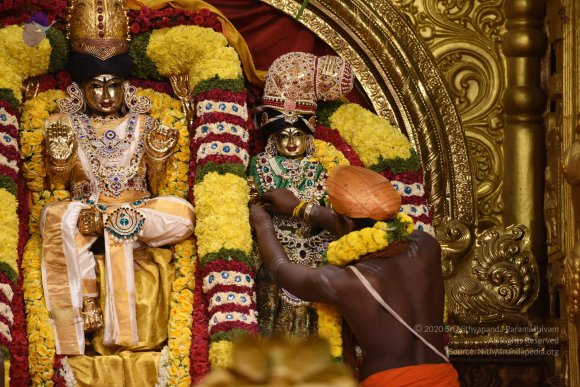 20170507_Photo_1028_DSC_8645_CMP_WM