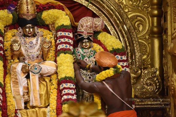 20170507_Photo_1029_DSC_8646_CMP_WM