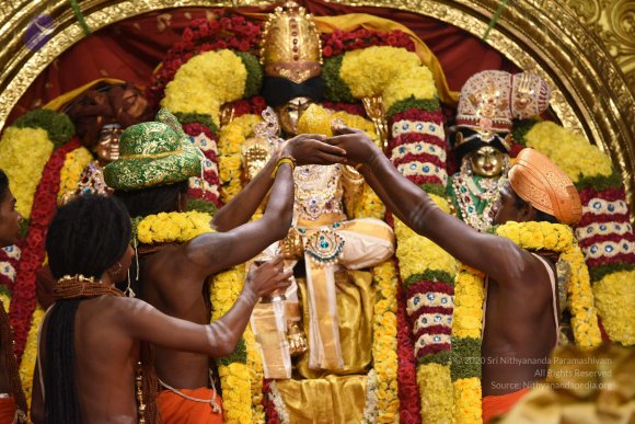 20170507_Photo_1041_DSC_8659_CMP_WM