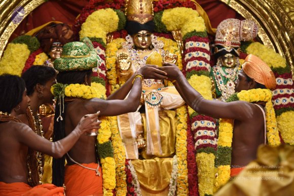 20170507_Photo_1042_DSC_8660_CMP_WM