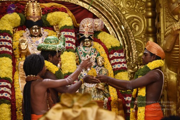 20170507_Photo_1048_DSC_8666_CMP_WM