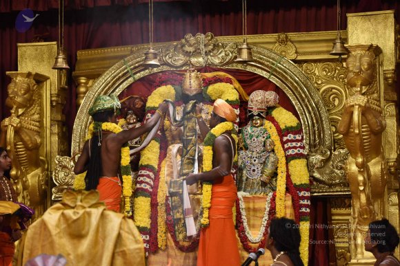 20170507_Photo_1056_DSC_8674_CMP_WM