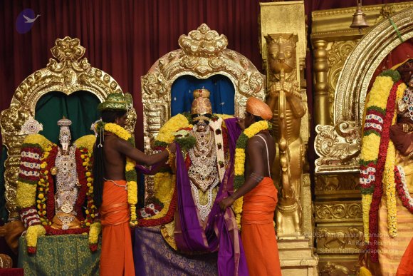 20170507_Photo_1068_DSC_8686_CMP_WM