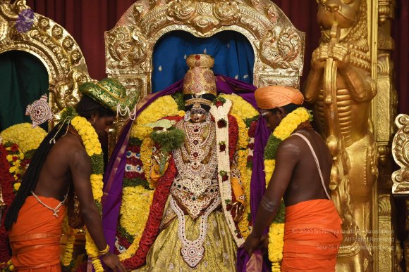 20170507_Photo_1072_DSC_8690_CMP_WM