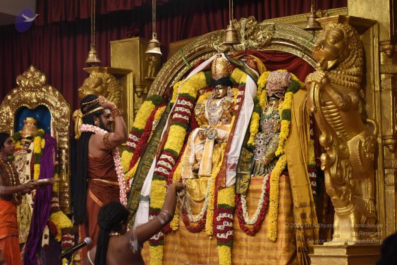 20170507_Photo_1125_DSC_8743_CMP_WM