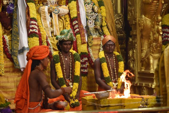 20170507_Photo_1201_DSC_8812_CMP_WM