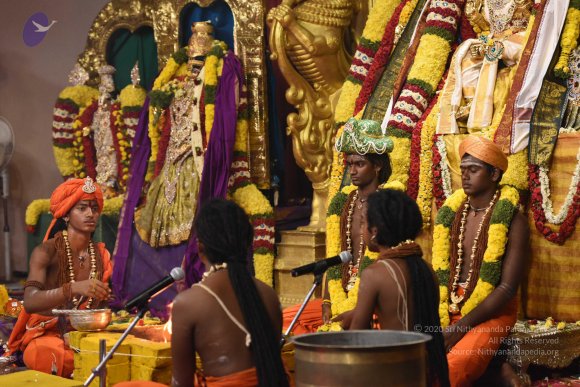 20170507_Photo_1222_DSC_8833_CMP_WM