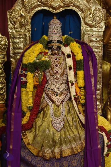 20170507_Photo_1443_DSC_9427_CMP_WM