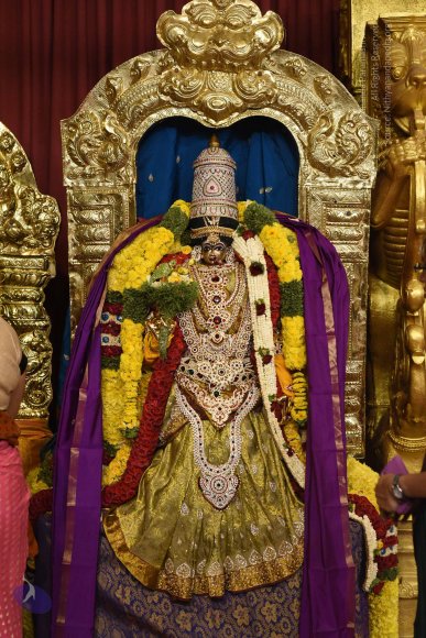 20170507_Photo_1447_DSC_9431_CMP_WM