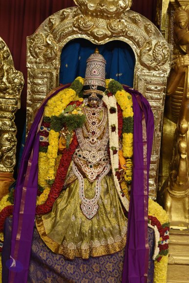 20170507_Photo_1448_DSC_9432_CMP_WM