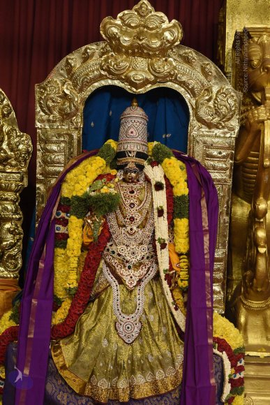 20170507_Photo_1449_DSC_9433_CMP_WM