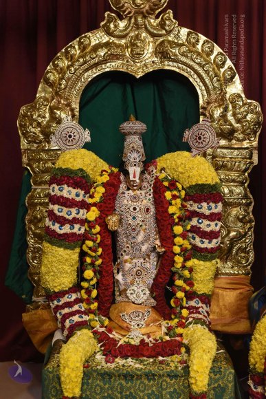 20170507_Photo_1451_DSC_9435_CMP_WM