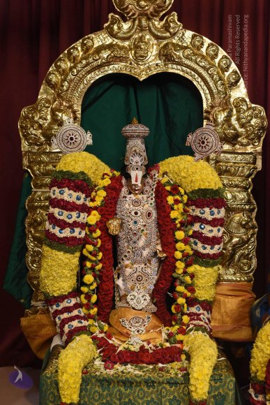 20170507_Photo_1452_DSC_9436_CMP_WM