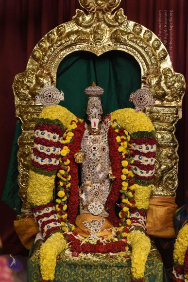 20170507_Photo_1453_DSC_9437_CMP_WM