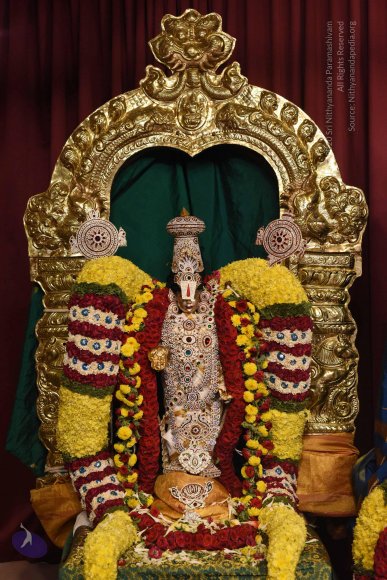 20170507_Photo_1455_DSC_9439_CMP_WM