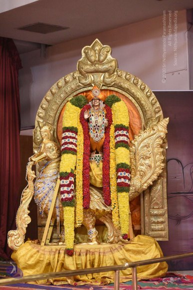 20170507_Photo_1464_DSC_9448_CMP_WM