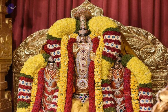 20170507_Photo_1476_DSC_9460_CMP_WM