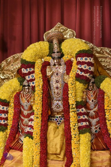 20170507_Photo_1478_DSC_9462_CMP_WM