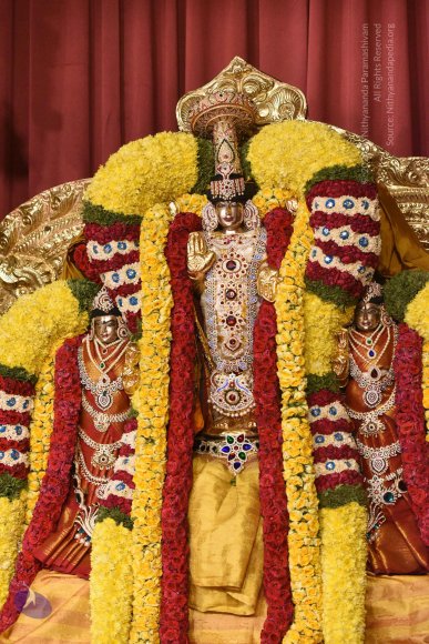 20170507_Photo_1481_DSC_9465_CMP_WM