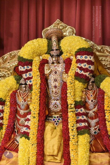 20170507_Photo_1482_DSC_9466_CMP_WM