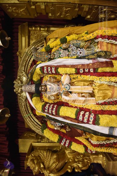 20170507_Photo_1489_DSC_9473_CMP_WM