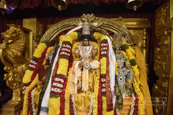 20170507_Photo_1490_DSC_9474_CMP_WM