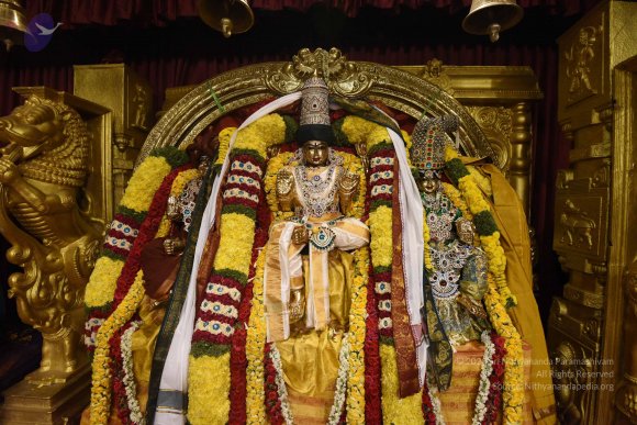 20170507_Photo_1493_DSC_9477_CMP_WM