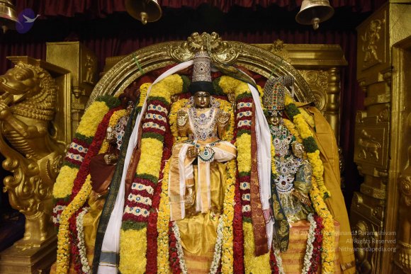 20170507_Photo_1494_DSC_9478_CMP_WM