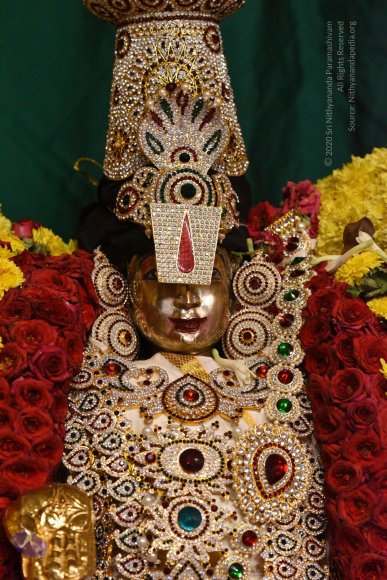 20170507_Photo_1498_DSC_9482_CMP_WM