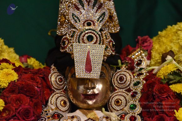 20170507_Photo_1501_DSC_9485_CMP_WM