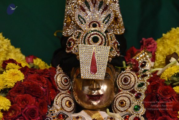 20170507_Photo_1502_DSC_9486_CMP_WM