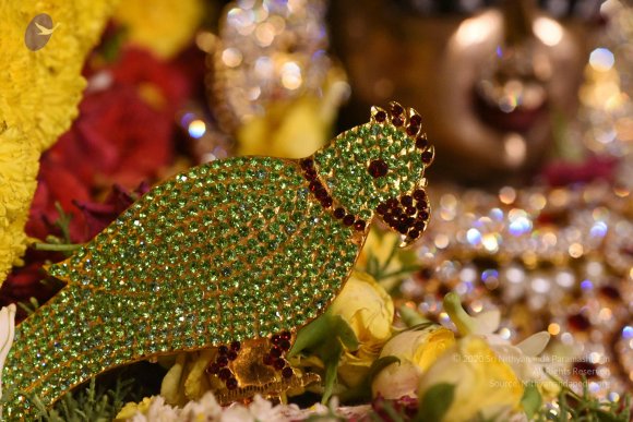 20170507_Photo_1503_DSC_9487_CMP_WM