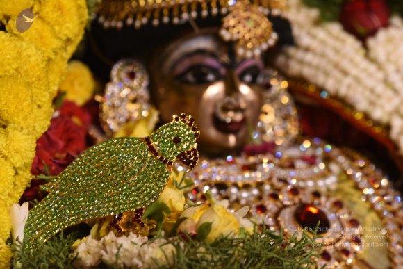 20170507_Photo_1504_DSC_9488_CMP_WM