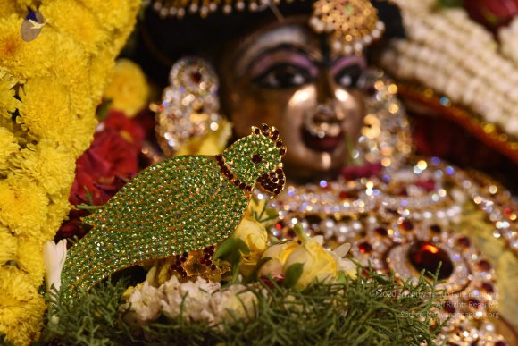 20170507_Photo_1505_DSC_9489_CMP_WM