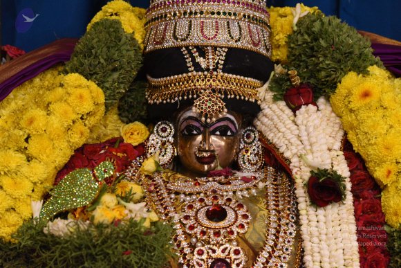 20170507_Photo_1506_DSC_9490_CMP_WM