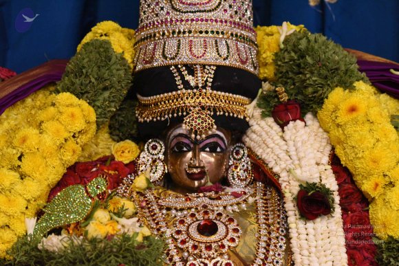 20170507_Photo_1507_DSC_9491_CMP_WM