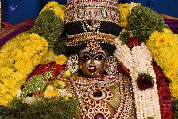 20170507_Photo_1508_DSC_9492_CMP_WM