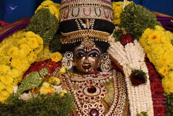 20170507_Photo_1509_DSC_9493_CMP_WM