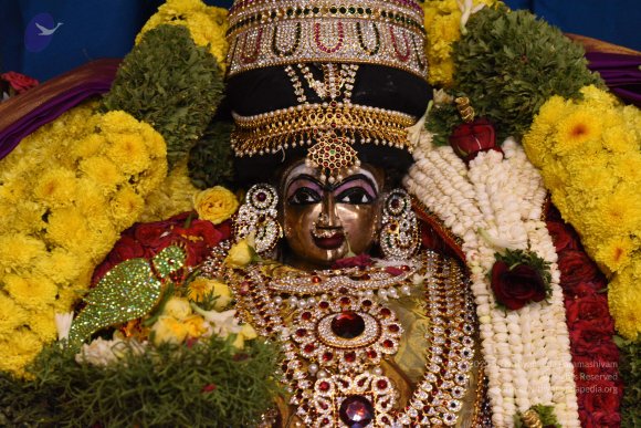 20170507_Photo_1510_DSC_9494_CMP_WM