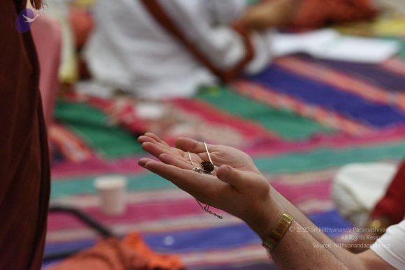 20170507_Photo_1512_DSC_9498_CMP_WM