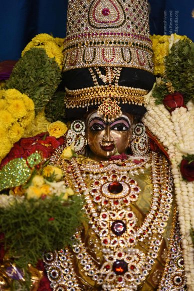 20170507_Photo_1522_DSC_9508_CMP_WM