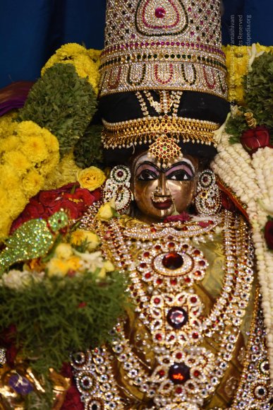 20170507_Photo_1523_DSC_9509_CMP_WM