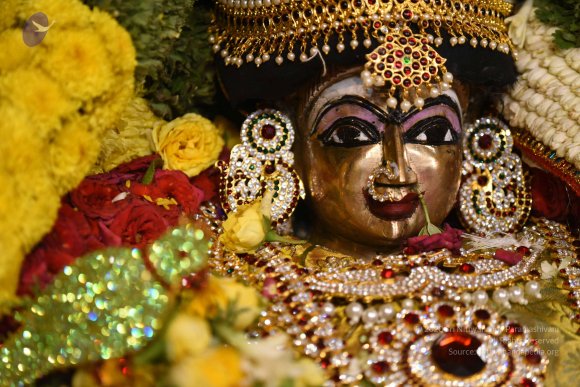 20170507_Photo_1525_DSC_9511_CMP_WM