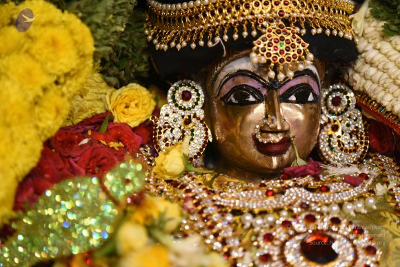 20170507_Photo_1526_DSC_9512_CMP_WM