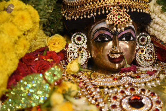 20170507_Photo_1527_DSC_9513_CMP_WM