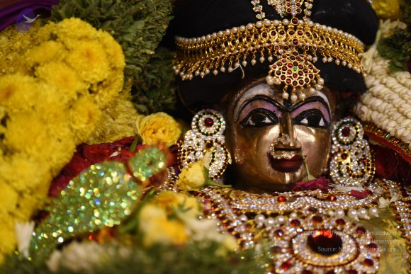 20170507_Photo_1528_DSC_9514_CMP_WM