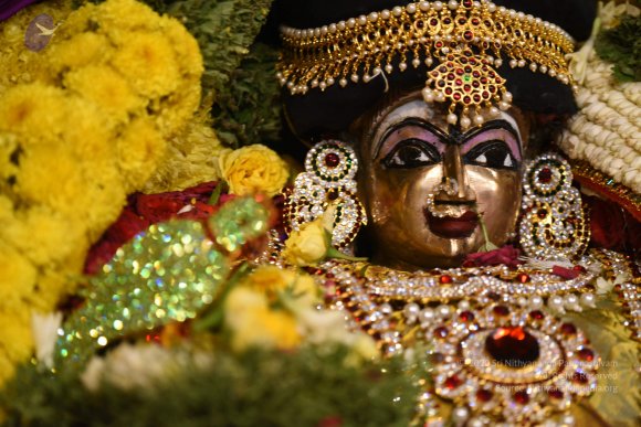 20170507_Photo_1529_DSC_9515_CMP_WM