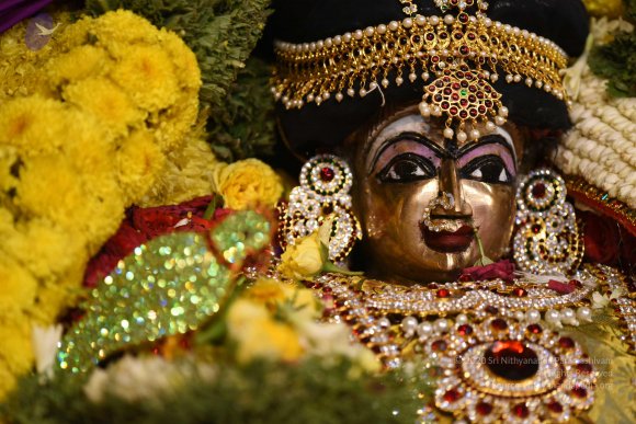 20170507_Photo_1531_DSC_9517_CMP_WM